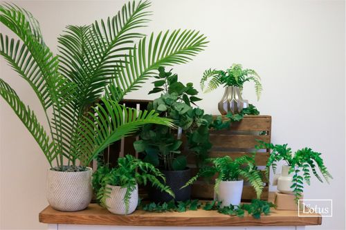 Artificial Greenery & Foliage